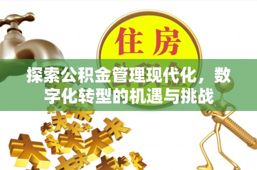 黄梅探索公积金管理现代化，数字化转型的机遇与挑战