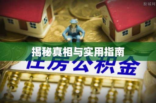 黄梅揭秘真相与实用指南