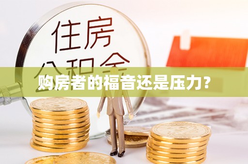 黄梅购房者的福音还是压力？