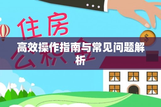 黄梅高效操作指南与常见问题解析