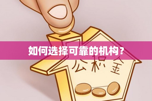 黄梅如何选择可靠的机构？