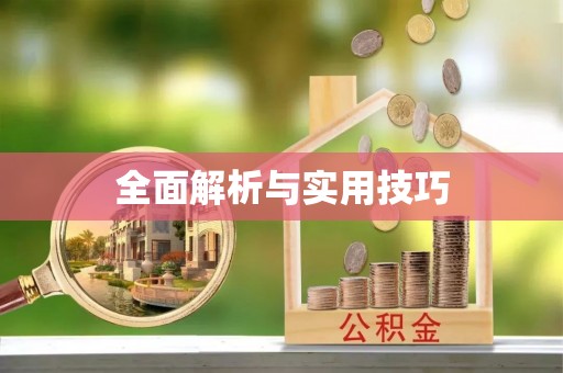 黄梅全面解析与实用技巧