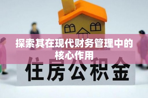 黄梅探索其在现代财务管理中的核心作用