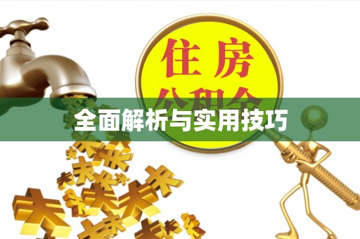 黄梅全面解析与实用技巧