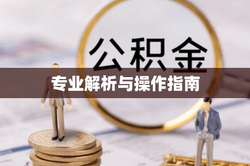 黄梅专业解析与操作指南