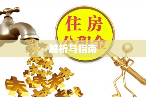黄梅解析与指南