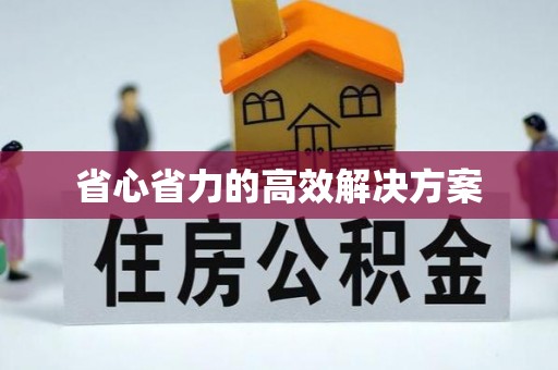 黄梅省心省力的高效解决方案