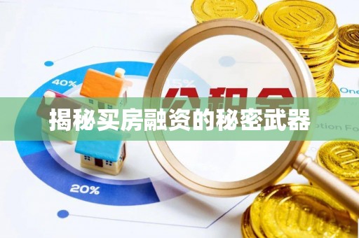 黄梅揭秘买房融资的秘密武器