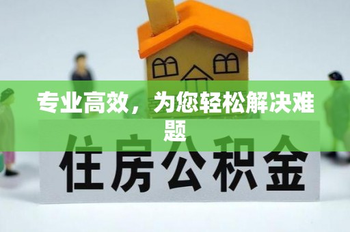 黄梅专业高效，为您轻松解决难题