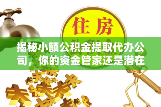 黄梅揭秘小额公积金提取代办公司，你的资金管家还是潜在风险？