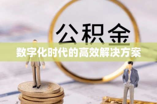 黄梅数字化时代的高效解决方案