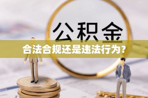 黄梅合法合规还是违法行为？