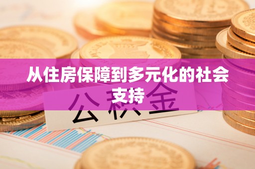 黄梅从住房保障到多元化的社会支持